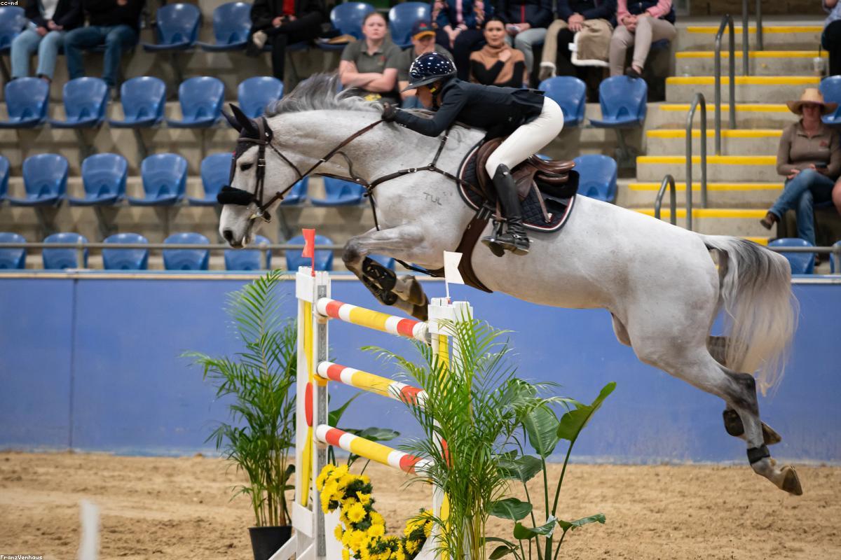Premium equestrian horse riding